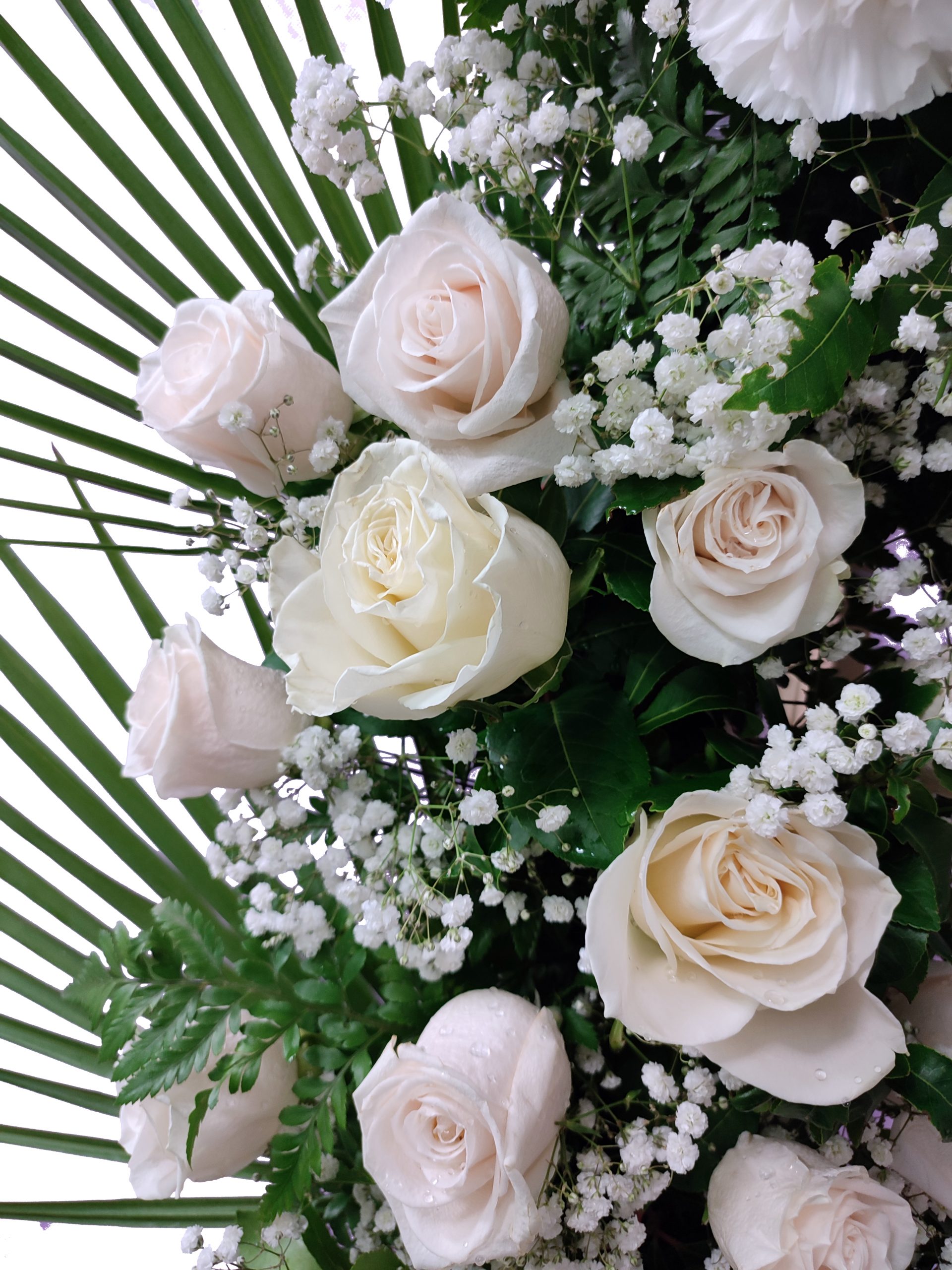 rosas blancas funeral