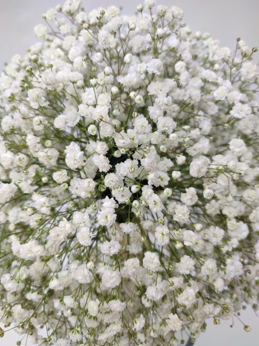 Ramos de Novia Paniculata blanco moderno oferta floristería en M30 Madrid barrio San Pascual y La Concepción