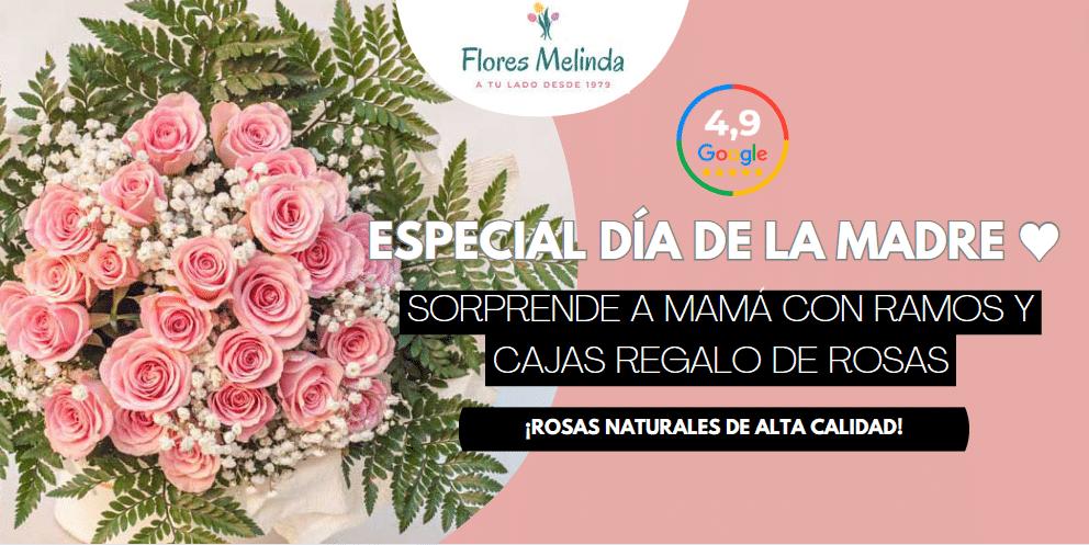 Floristería en Madrid m30 para enviar flores el día de la madre, ramos rosas precios