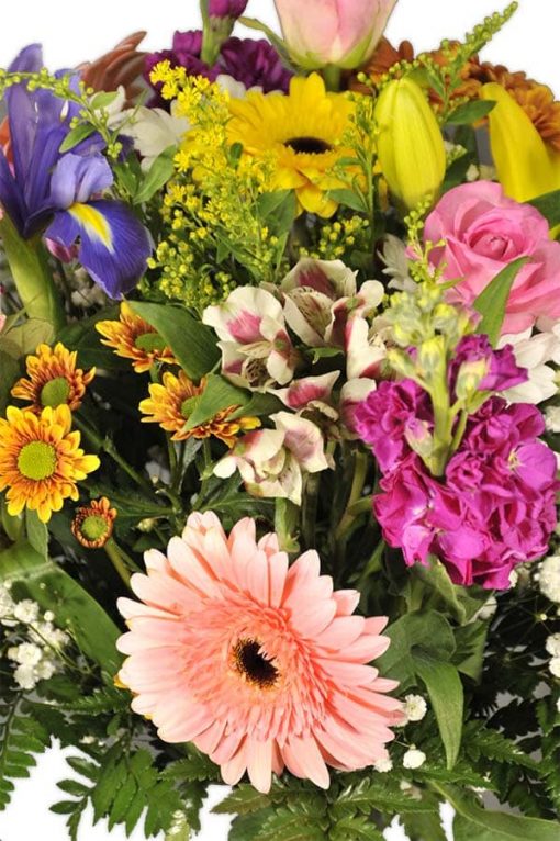 Precio Ramo de flores de múltiples colores para enviar a domicilio en Madrid